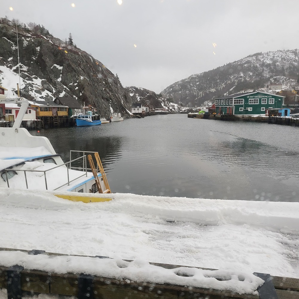 Meet your Posher, Kyla